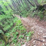 Navene Trail