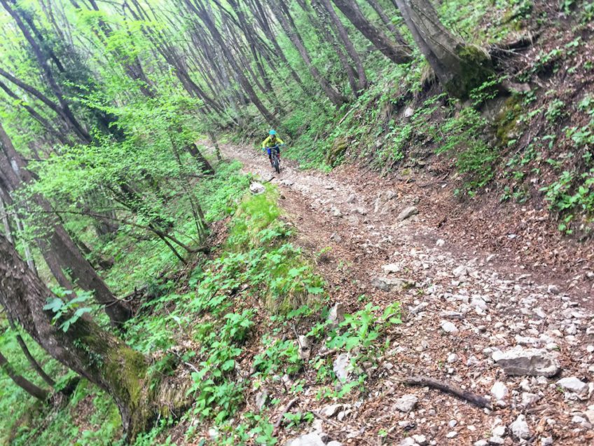 Navene Trail