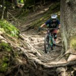 Marin Alpine Trail test